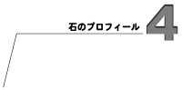 �΂̃v���t�B�[��